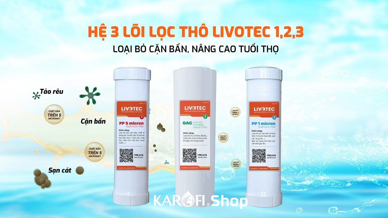 Máy lọc nước Karofi Livotec 606