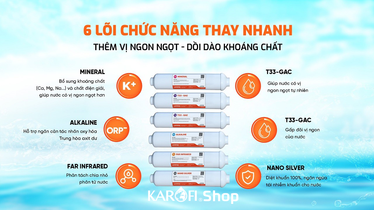 Máy lọc nước Karofi Livotec 606